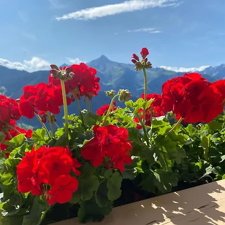 Johanna In Mayrhofen-hippach- Naehe Der Skipiste * Hippach