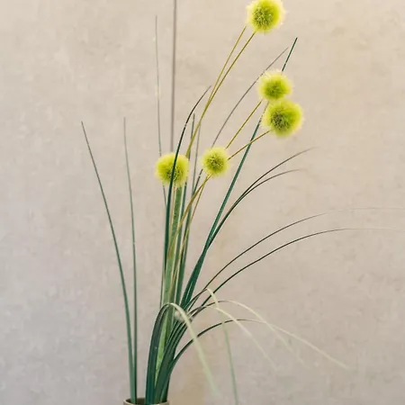 Johanna In Mayrhofen-hippach- Naehe Der Skipiste *