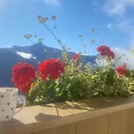 Johanna In Mayrhofen-hippach- Naehe Der Skipiste 別荘 *