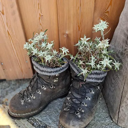 Johanna In Mayrhofen-hippach- Naehe Der Skipiste *