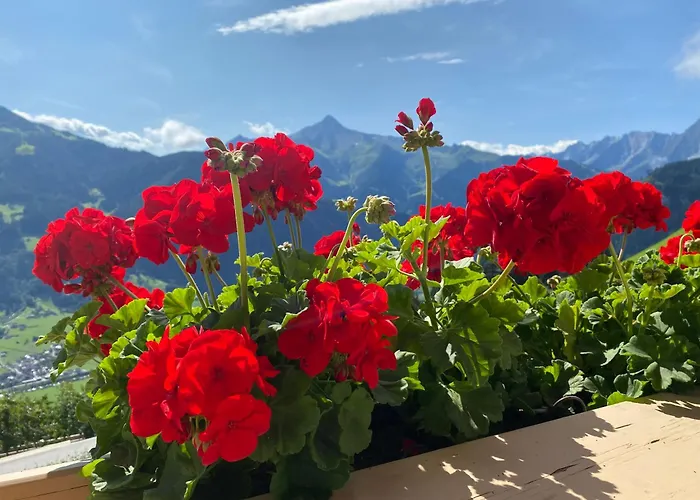 Johanna In Mayrhofen-hippach- Naehe Der Skipiste * Hippach