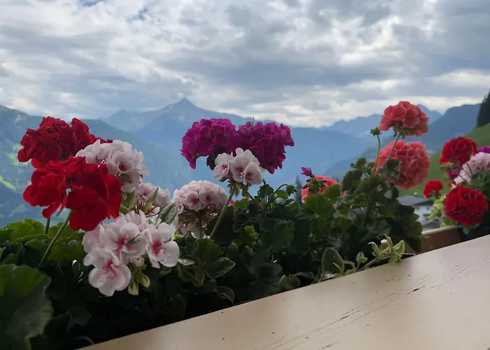 Johanna In Mayrhofen-hippach- Naehe Der Skipiste Nyaraló