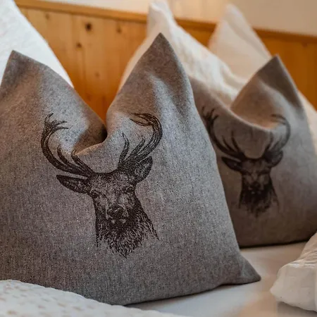 Johanna In Mayrhofen-hippach- Naehe Der Skipiste