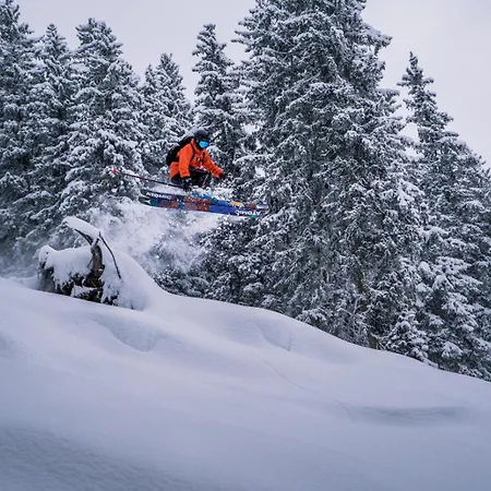 Johanna In Mayrhofen-hippach- Naehe Der Skipiste Feriehus Hippach