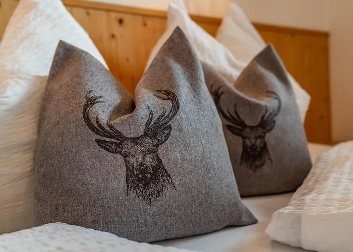 Johanna In Mayrhofen-hippach- Naehe Der Skipiste