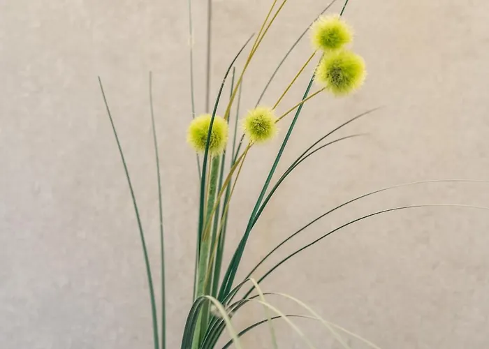 Johanna In Mayrhofen-hippach- Naehe Der Skipiste *