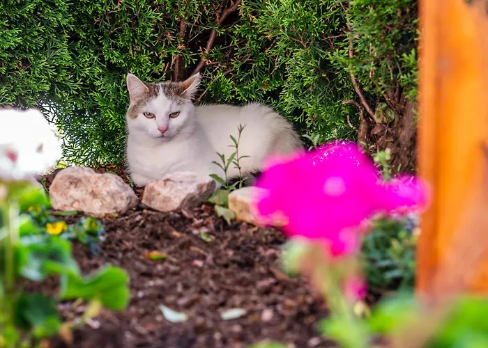 Johanna In Mayrhofen-hippach- Naehe Der Skipiste Хиппах