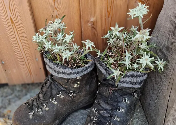Johanna In Mayrhofen-hippach- Naehe Der Skipiste *